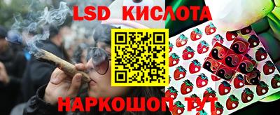 шишки Донской