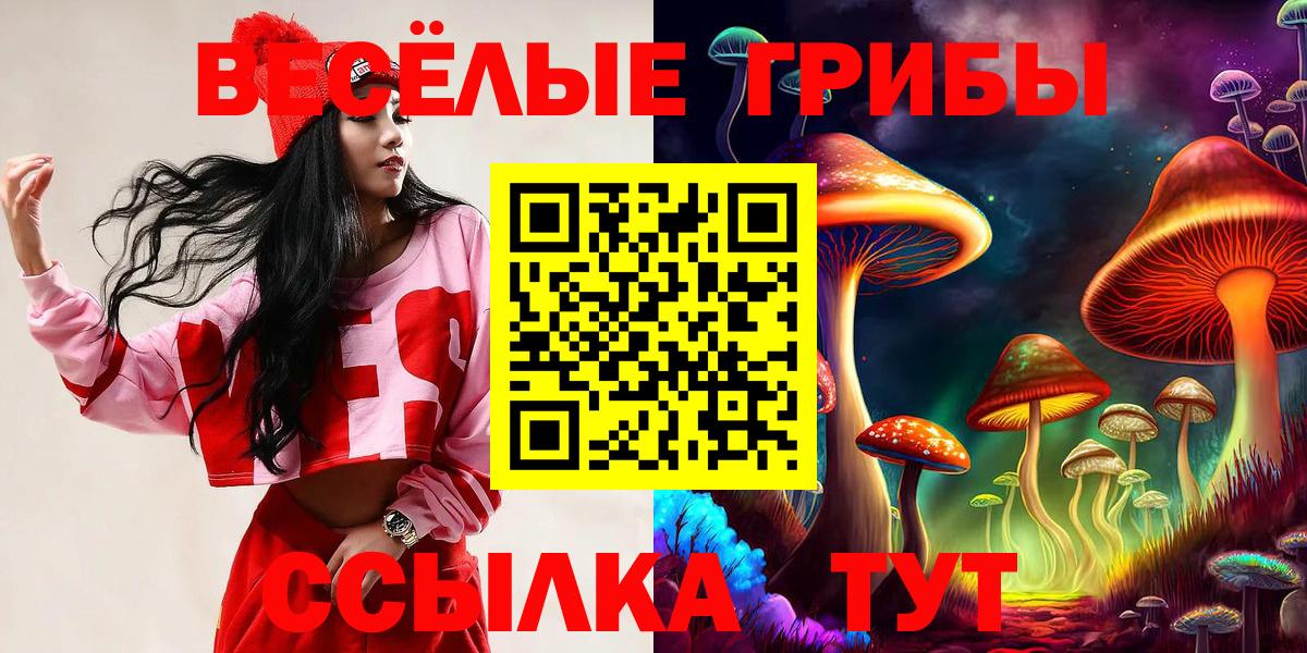 Нижнеудинск  Псилоцибиновые грибы мицелий  как найти   Вход с VPN 